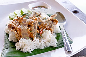 Fried Pork with Garlic Pepper on Rice wtih white dish