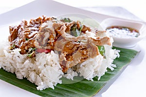 Fried Pork with Garlic Pepper on Rice wtih white dish