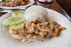 Fried pork with garlic