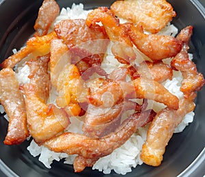 fried pork with rice on plate