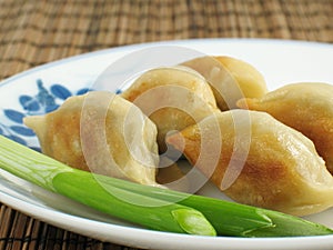 Fried Potstickers