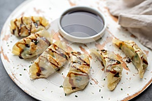 Fried potstickers with balsamic glaze covered in seeds and chives