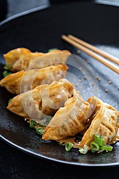 Fried potstickers with green onions