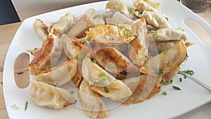 Fried Potstickers On White Plate