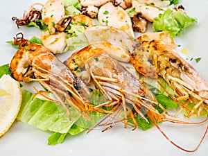 fried prawns and squids close up on white plate photo
