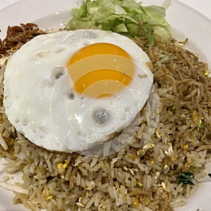 Fried Rice with Egg