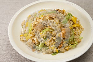 Fried rice with minced chicken and eggs on white plate