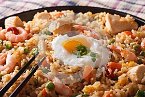 Fried rice nasi goreng with chicken and shrimp macro horizontal