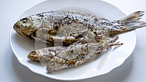 Fried river fish on white plate