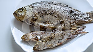 Fried river fish on white plate