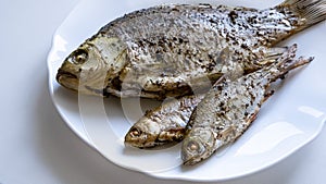 Fried river fish on white plate