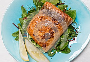 Fried salmon fillet with fleur de sel on mixed salad