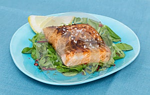 Fried salmon fillet with fleur de sel on mixed salad