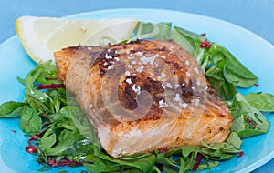Fried salmon fillet with fleur de sel on mixed salad