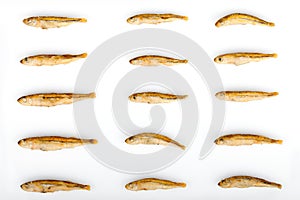 Fried Sand Smelt Repetitive