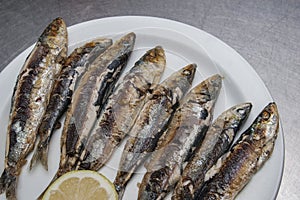 Fried sardines photo