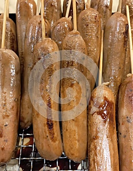 Fried Sausage Isolated Photo