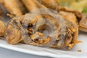 Fried scads fish on the white plate