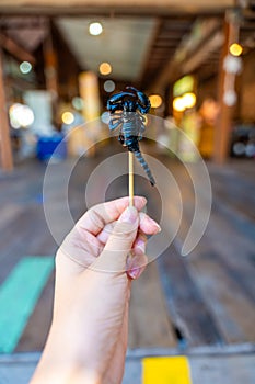 Fried scorpion on a skewer in hand of tourist in floating open air market on the pond in Pattaya, Thailand