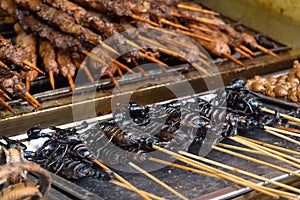 Fried scorpions on a stick at a local Chinese market in Beijing