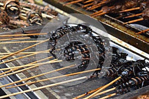 Fried scorpions on a stick at a local Chinese market in Beijing