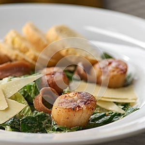 Fried Sea Scallop with White Sauce on Elegant Restaurant Plate Isolated on White Background. Gourmet Clams Meat with