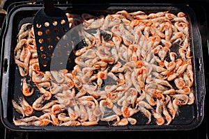 Fried sea shrimps