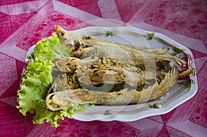 Fried Sheatfishes or Siluridae fresh river fish with garlic and pepper