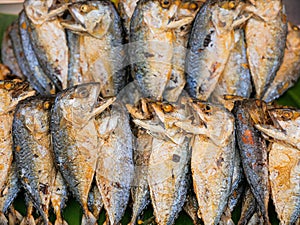 Fried shortbodied mackerel fish