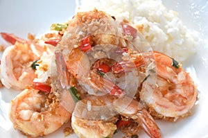 fried shrimp garlic and chili with plain rice on plate