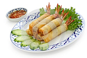 Fried shrimp spring rolls, thai cuisine