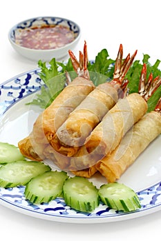 Fried shrimp spring rolls, thai cuisine