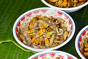 Fried silk worm is the food of the natives.