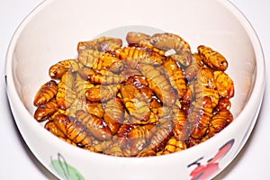 Fried silk worm
