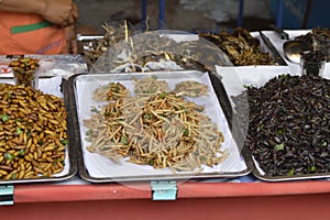 Fried silk worms