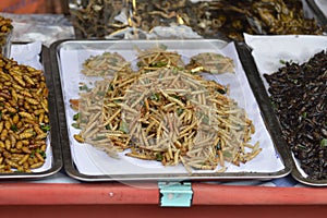 Fried silk worms