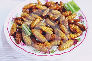 Fried silk worms bamboo insect, popular snack street food in Thailand