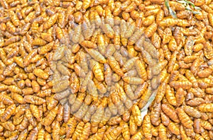 Fried silkworm pupa.