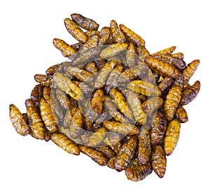 Fried silkworm pupa on a white background