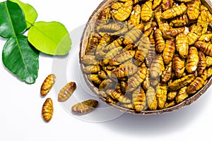 Fried silkworm`s pupa