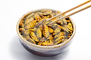 Fried silkworm`s pupa
