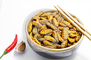 Fried silkworm`s pupa