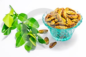 Fried silkworm`s pupa