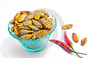 Fried silkworm`s pupa