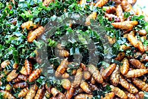 Fried silkworms with herb placed on the stall for sale