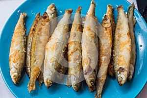 Fried smelts fish lays on a plate over gray tablecloth