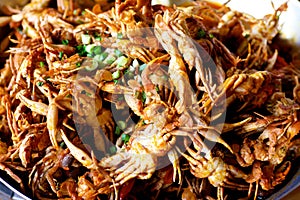 Fried Soft Shell Crab