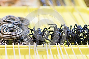 Fried spider on sticks in Wangfujing street, Fried tarantula in a shopping street in Beijing, China