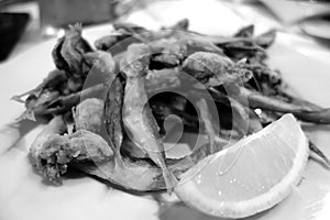 Fried sprat serving in black and white photo