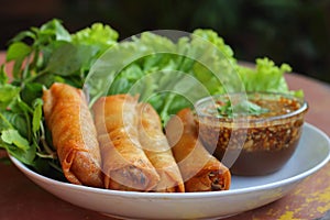 Fried spring roll pastry.